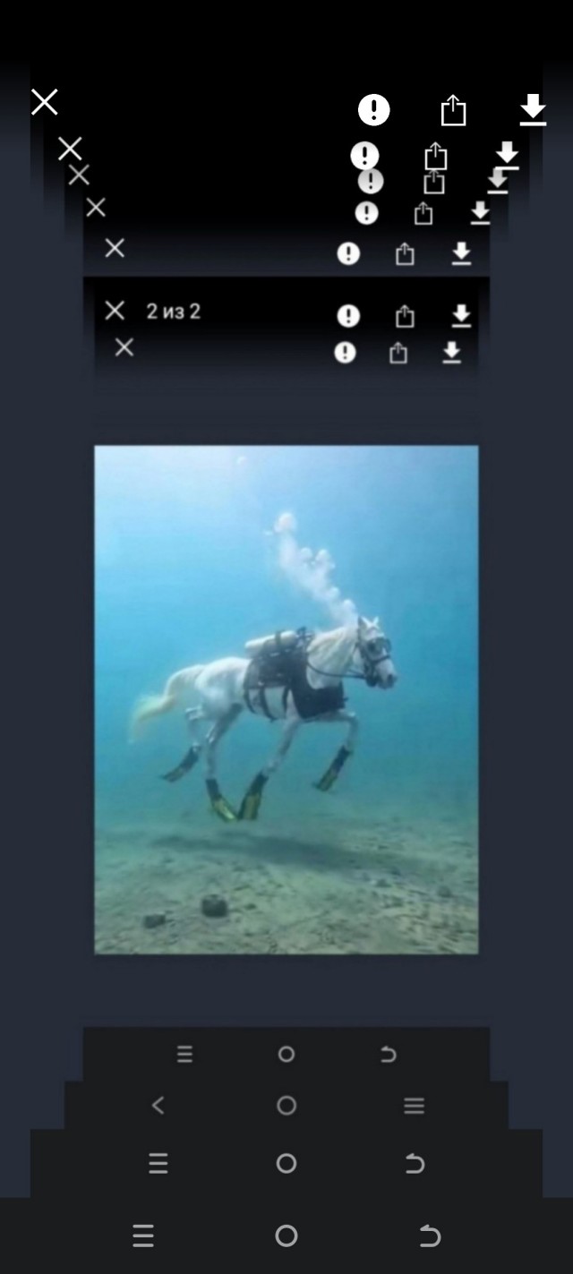 Почему?