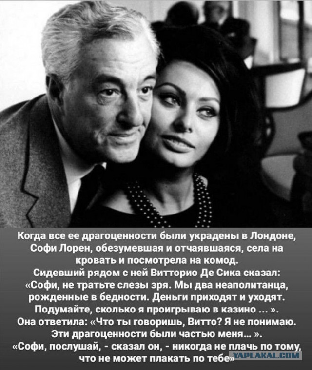 Прикольные и просто красивые картинки 14.08.2026