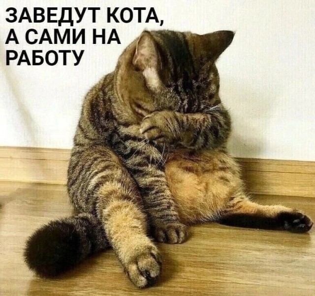 Забавные картинки, шутки из этих ваших интернетов