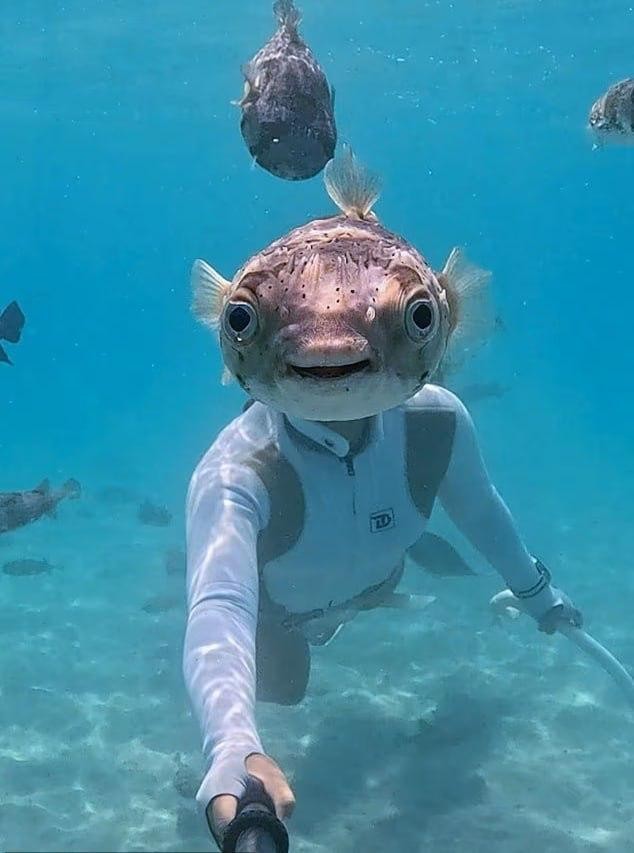 Возможно, самое необычное фото года