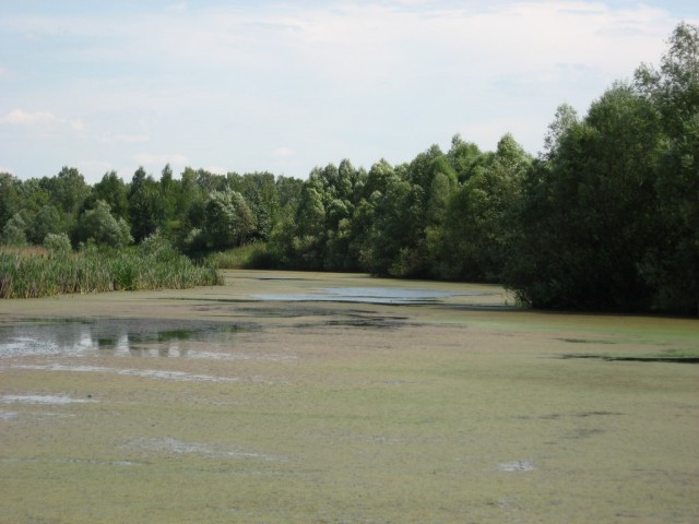 Село Батурино, Рязанская область