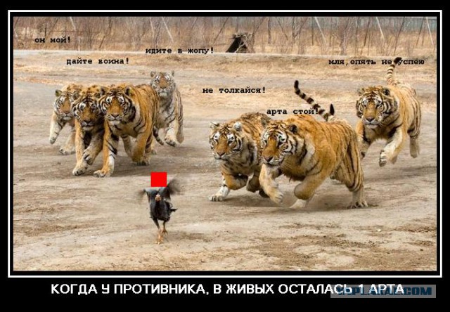 Wargaming 9