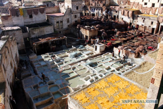 Новогодняя ночь в пустыне Сахара