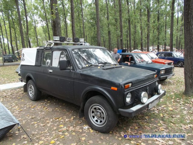 Нива самодельная