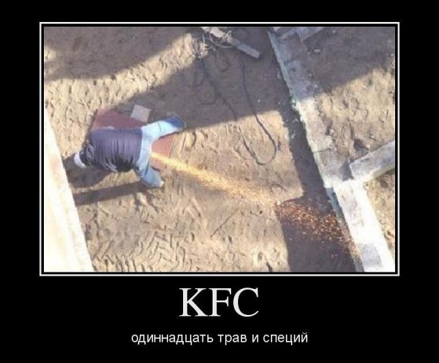 Смешные комментарии из социальных сетей 04.08.14