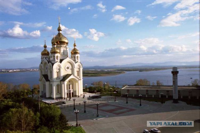 Тамбовский волк тебе товарищ...