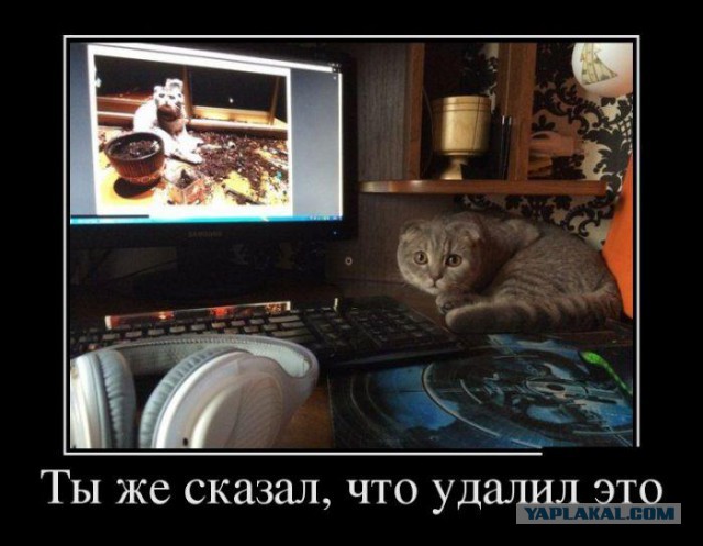 Демотиваторов пост