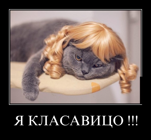 Веселое из сети