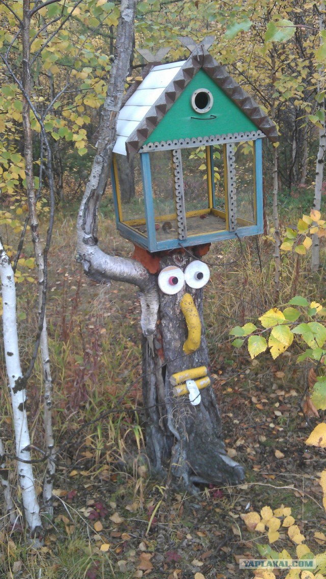 Дары Севера