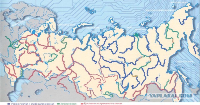 В Москве может появиться первый раздельный пляж