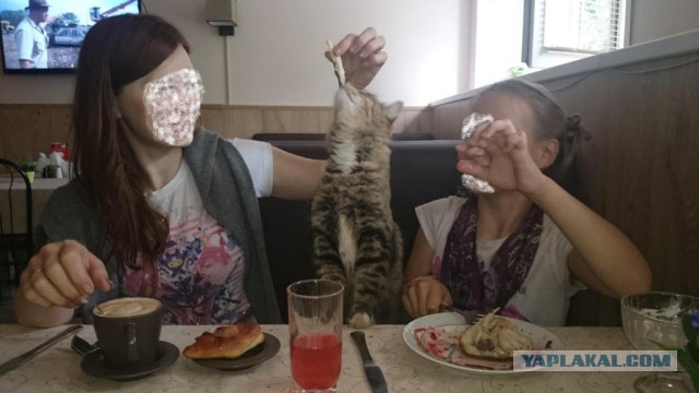 Две недели впечатлений.