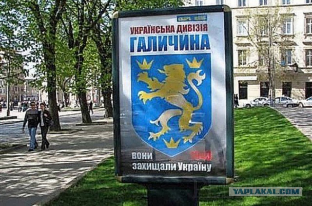 Европейские крестоносцы Гитлера под Ленинградом