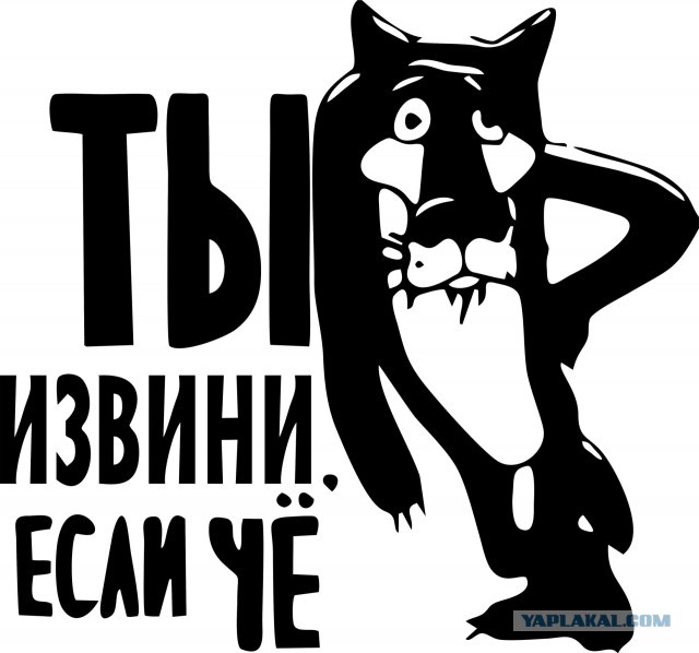 Что обычно водители пишут на своих автомобилях?