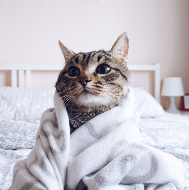 Разные картинки из сети