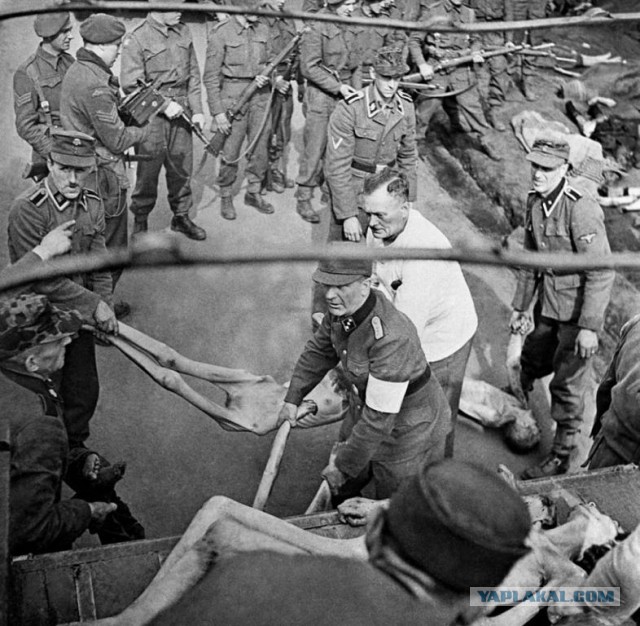 Немецкие фотографии русской деревни 1942-1943 гг. Фотограф Асимус Реммер