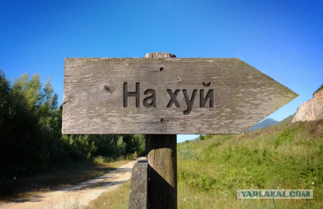 Дочь теннисиста Евгения Кафельникова: Я ненавижу Россию!