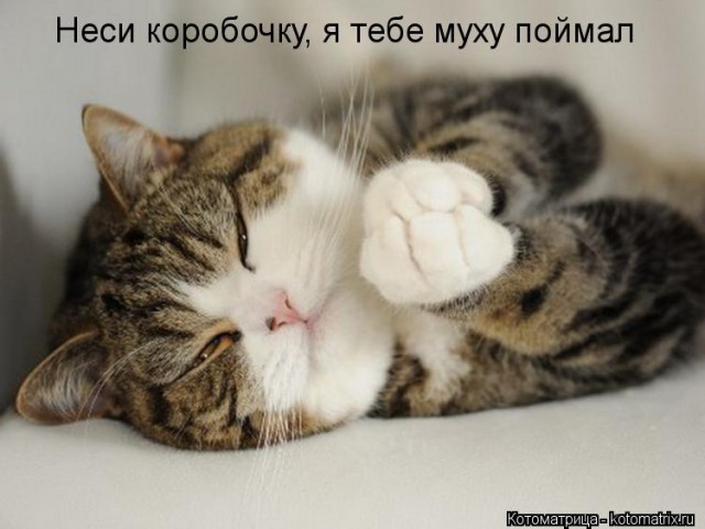 Сколько милоты в этих фото...