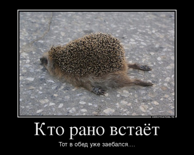 Субботний картиночный винегрет