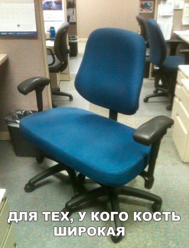 Подборка безудержного веселья