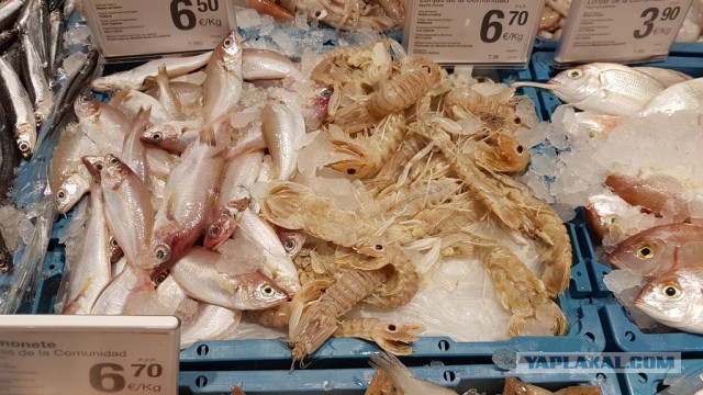 Настоящая Испания изнутри: на местный рынок за продуктами