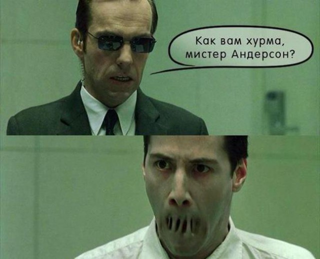 Котенок ест хурму