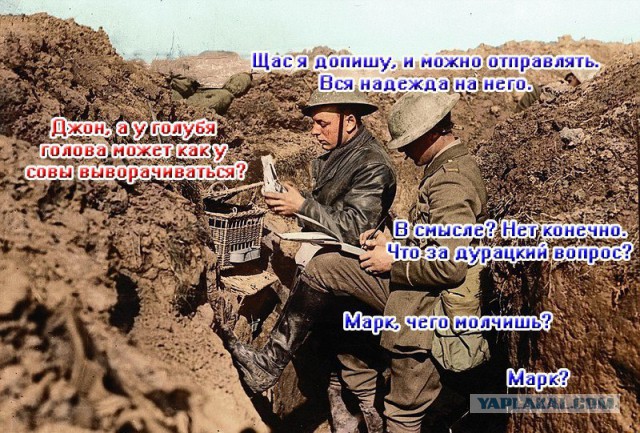 Мой поток сознания!