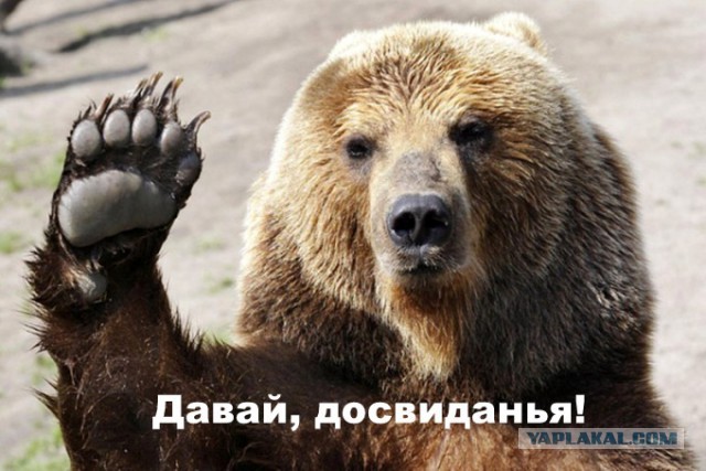 Девушки, а вы дали бы за квартиру?