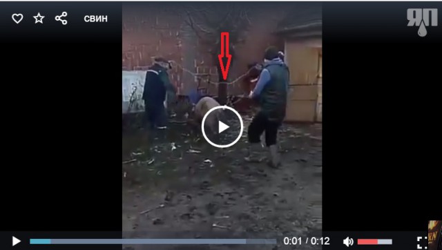 Дуплет