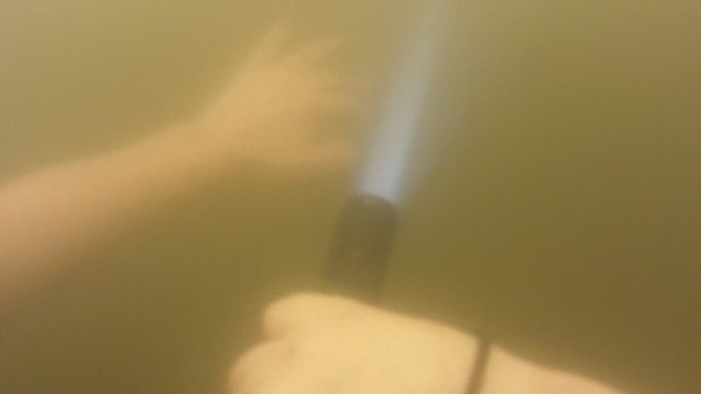 Оброненная туристом видеокамера проплыла 800 километров по морю