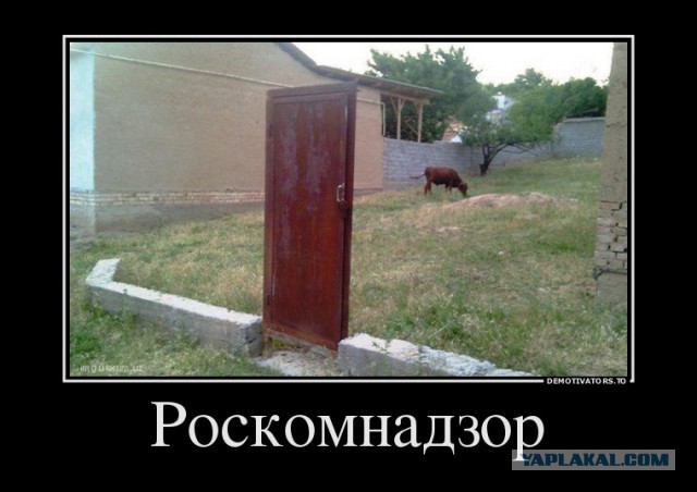 В Госдуму внесли проект о блокировке порочащих честь и достоинство сведений