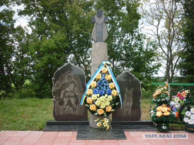 Зеленые фуражки