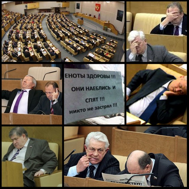 Еноты здоровы!