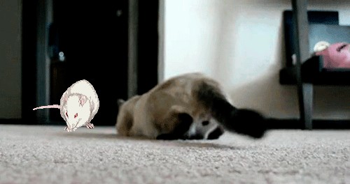 Секундочку...