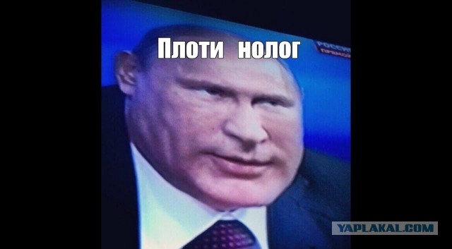 Помидорное дерево