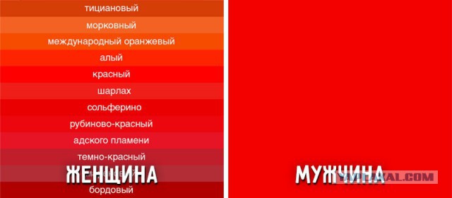 Как различить кореянку, японку, вьетнамку, тайку и китаянку