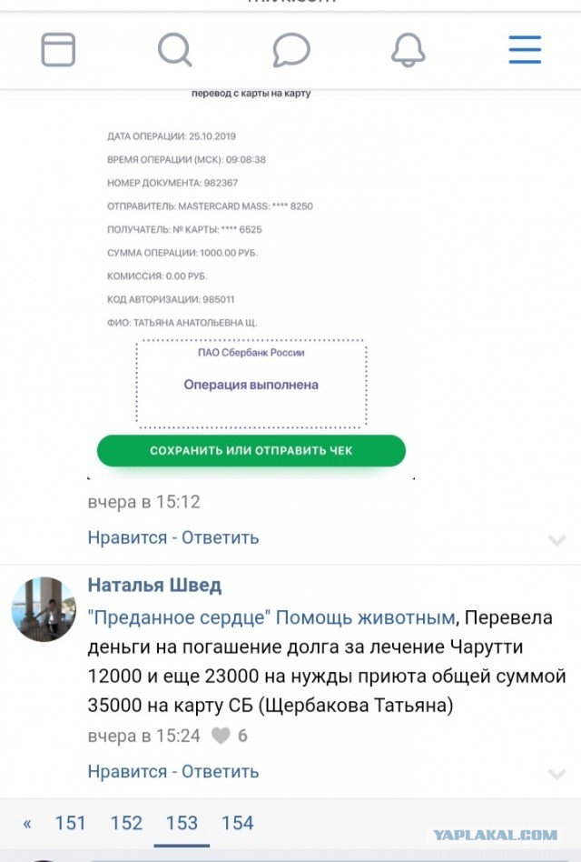 Помогите вернуть кота! Приют "Преданное сердце" украл кота и не отдает!