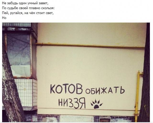 Бредзона 05.08.2020