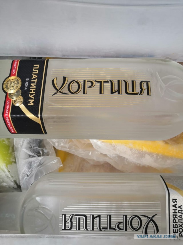 Все замужние женщины завидуют холостым парням  и это факт , а не реклама!