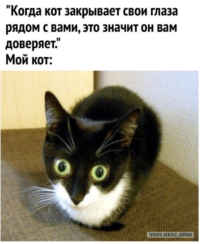 Картинки с надписями и всякие жизненные фразы