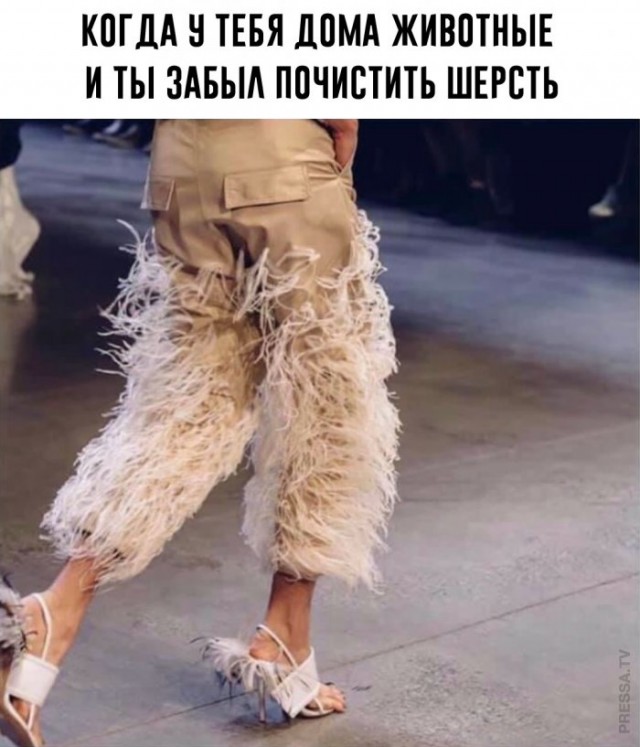 Немного картинок для настроения 12.11.20