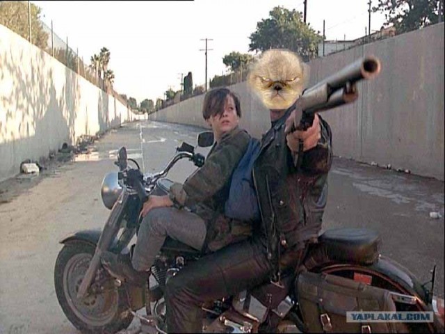 Фотожаба: Я и моя сраная хозяйка