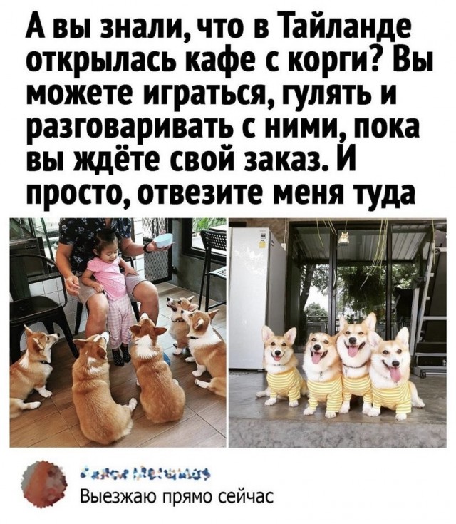 35 картинок разных 02.07.2021