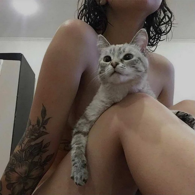 Девушки котовторника
