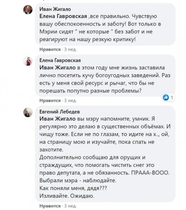 «Чистить снег — это право депутата, а не обязанность»