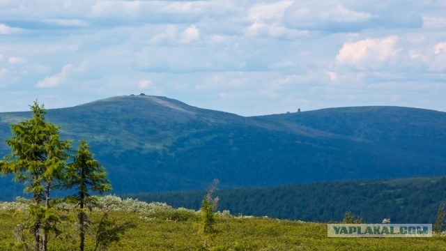 Болваны, я восьмой