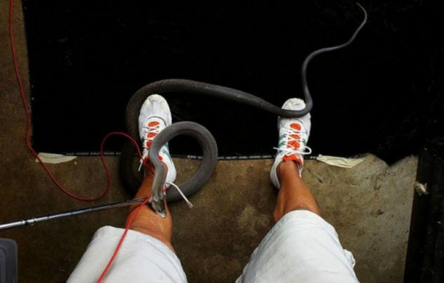 10 фото, которые могли стоить фотографам жизни