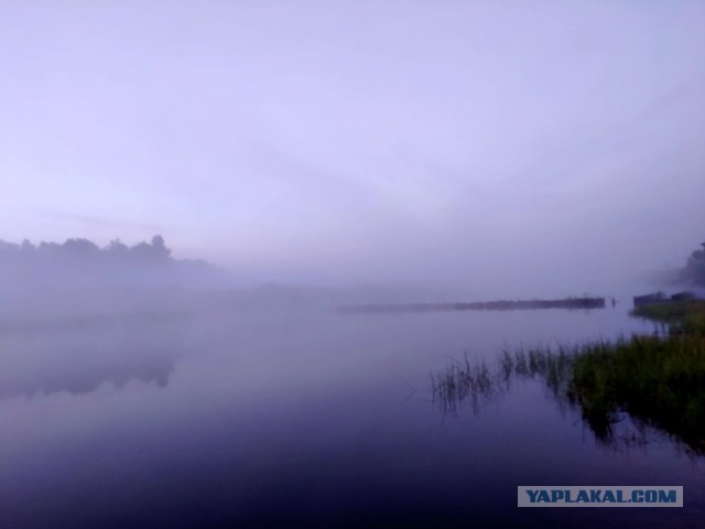 Мещёра