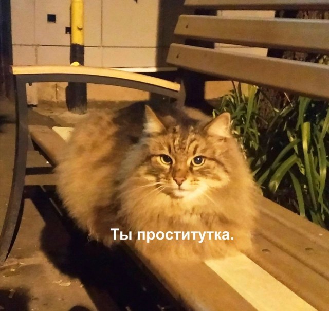 Так себе картинки 22.07.22