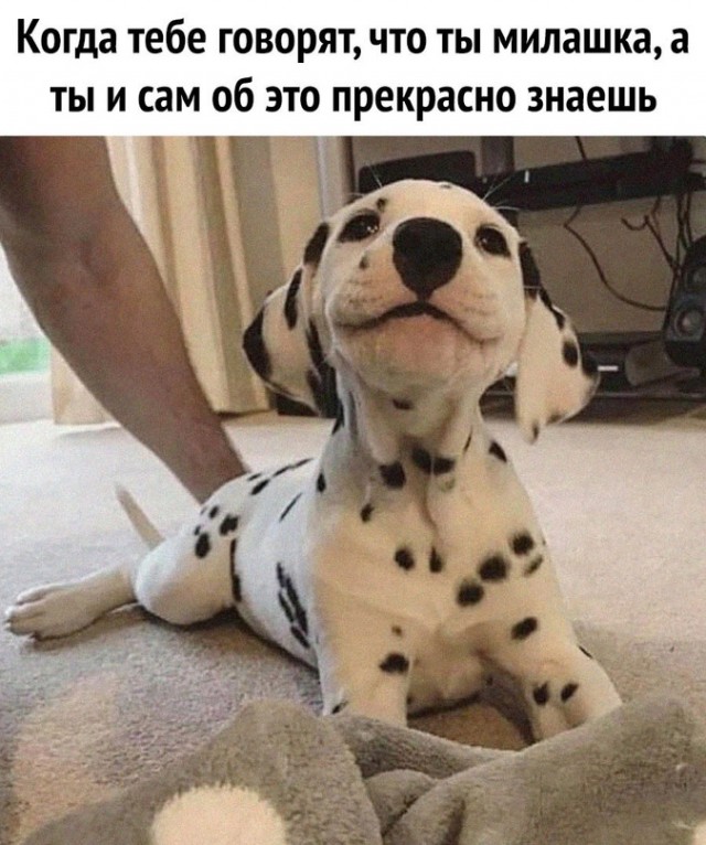 Немного картинок для настроения - 119