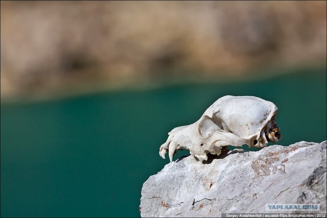 Заброшенный флюсовый карьер в Балаклаве